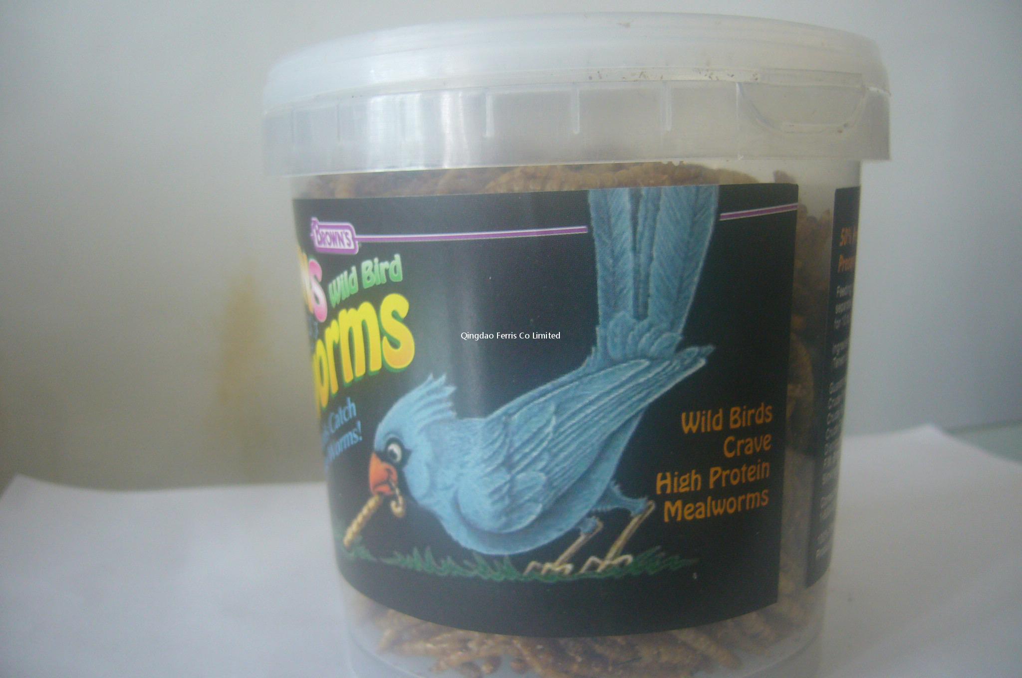 100g Mealwrom In Tub/24
