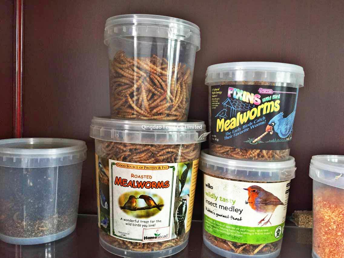 200g Mealworm In Tub