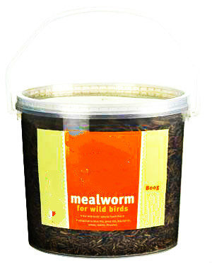 800g Mealworm In Tub