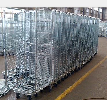 Roll Cage