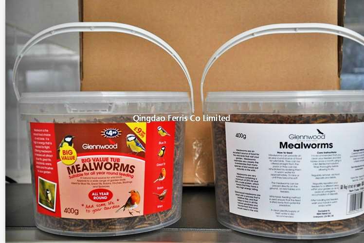 400g Mealworm In Tub