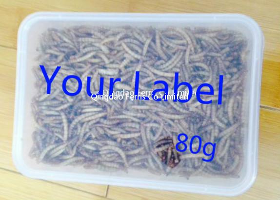 80g Mealworm In Square Container