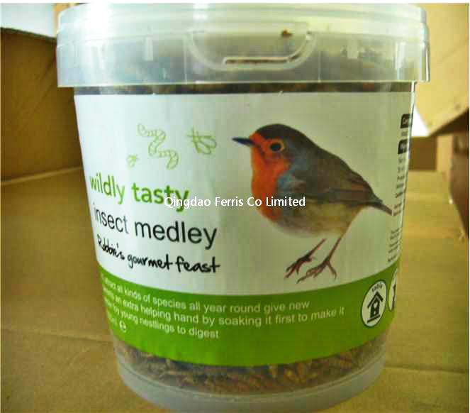 100g Mealworm In Tub/36