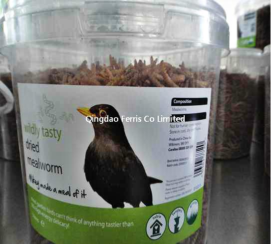 150g Mealworm In Tub