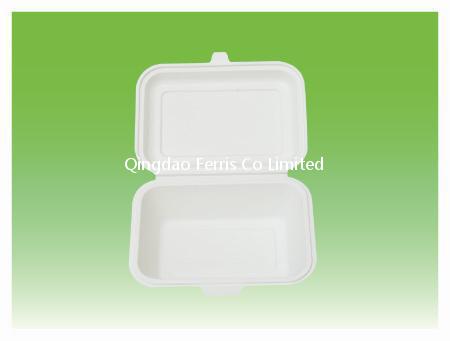 Bio-Container/450ML